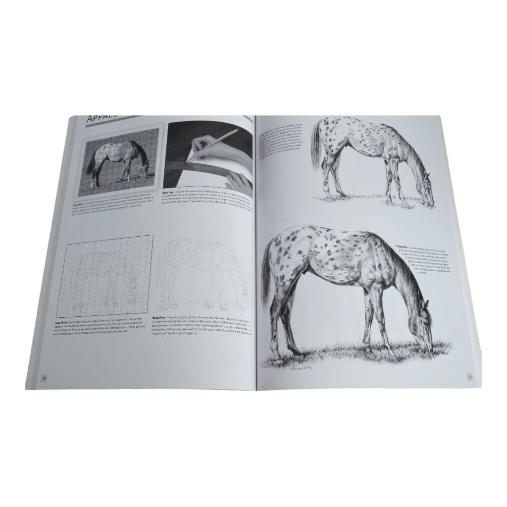 The Art of Drawing Animals